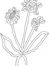 Схема №35 для вышивания лентами