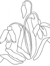 Схема №38 для вышивания лентами