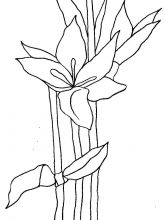 Схема №39 для вышивания лентами