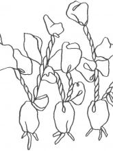 Схема №51 для вышивания лентами