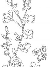 Схема №54 для вышивания лентами