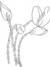 Схема №56 для вышивания лентами