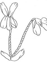 Схема №63 для вышивания лентами