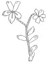 Схема №65 для вышивания лентами