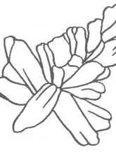 Схема №70 для вышивания лентами