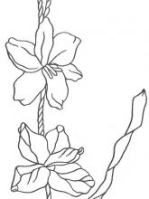 Схема №71 для вышивания лентами