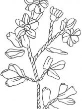 Схема №72 для вышивания лентами