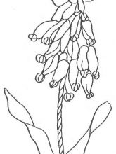 Схема №85 для вышивания лентами