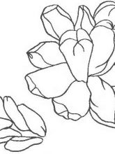 Схема №87 для вышивания лентами