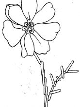 Схема №88 для вышивания лентами