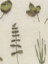 Основные швы и элементы узоров