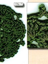 Круглый мотив 7, фото